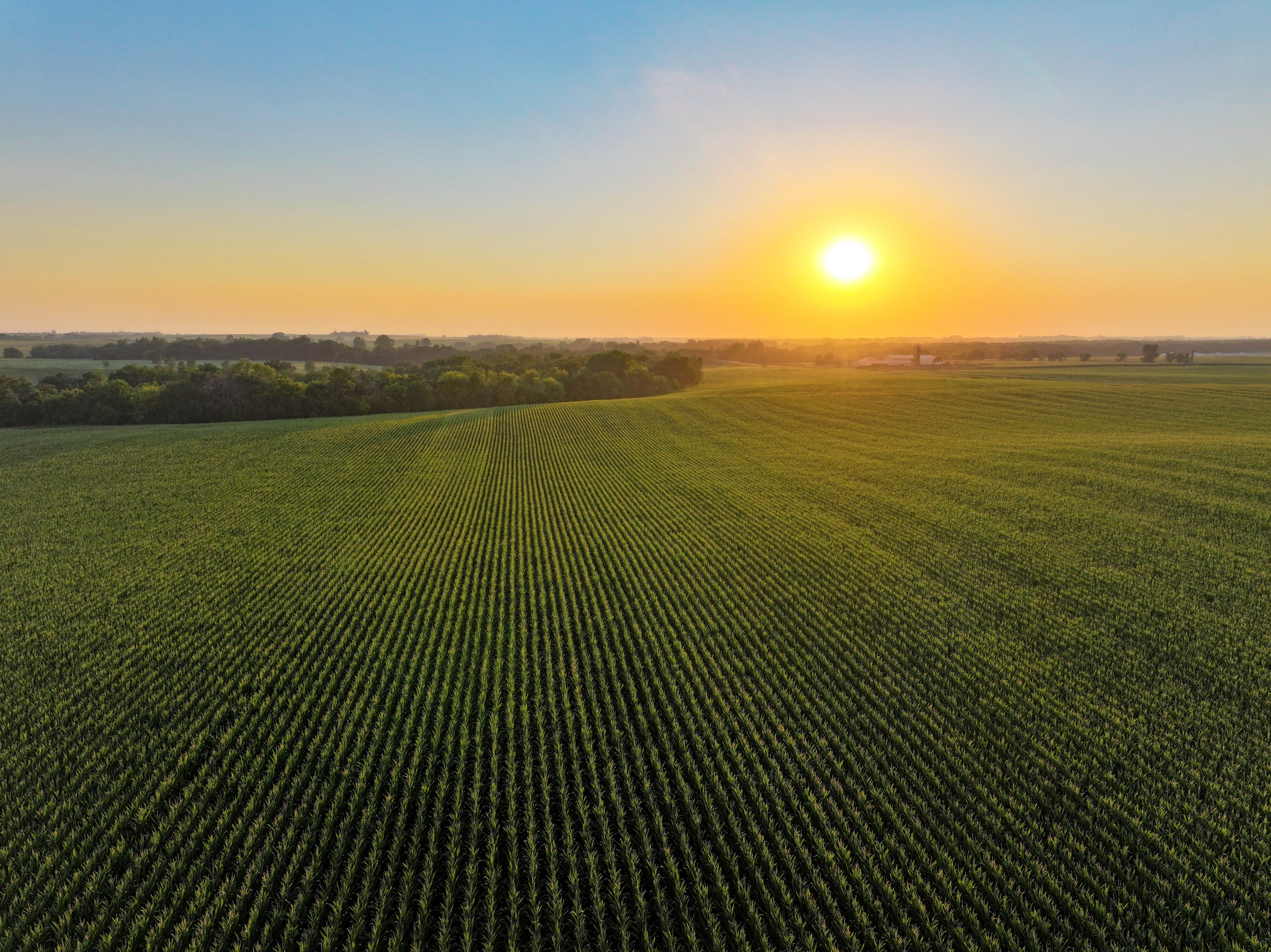 Listing Photo: 14_Waucoma Iowa Farmland